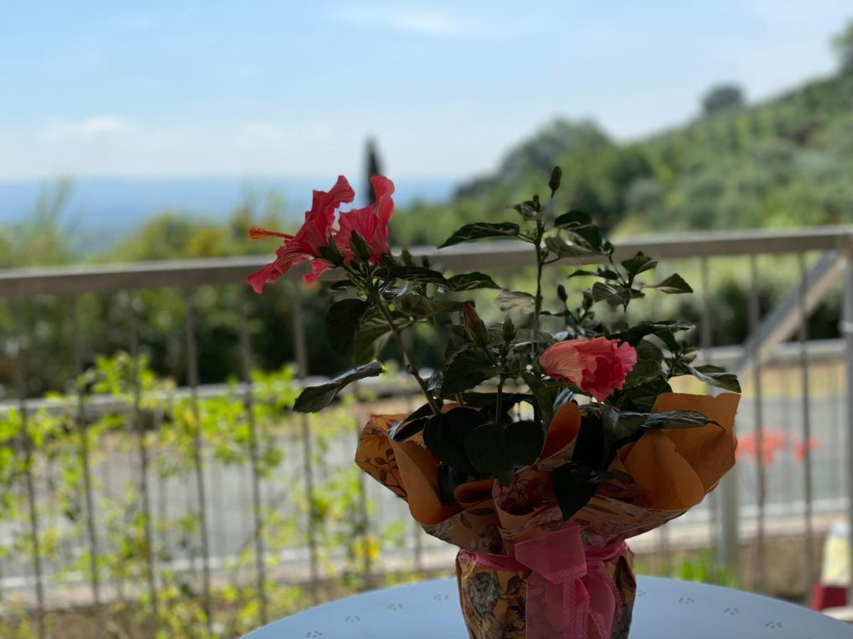 A Casa Di Silvia Appartement Gambassi Terme Buitenkant foto