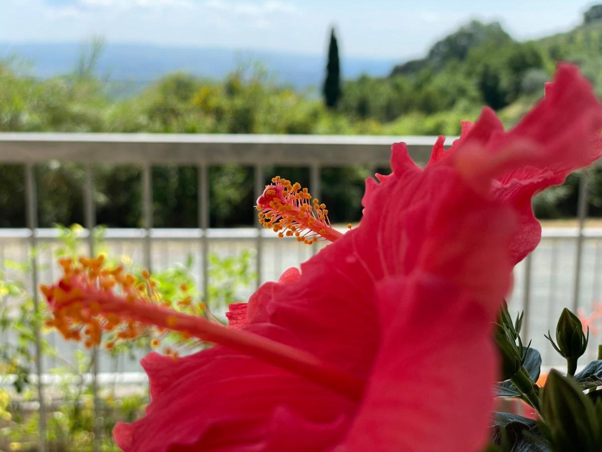 A Casa Di Silvia Appartement Gambassi Terme Buitenkant foto