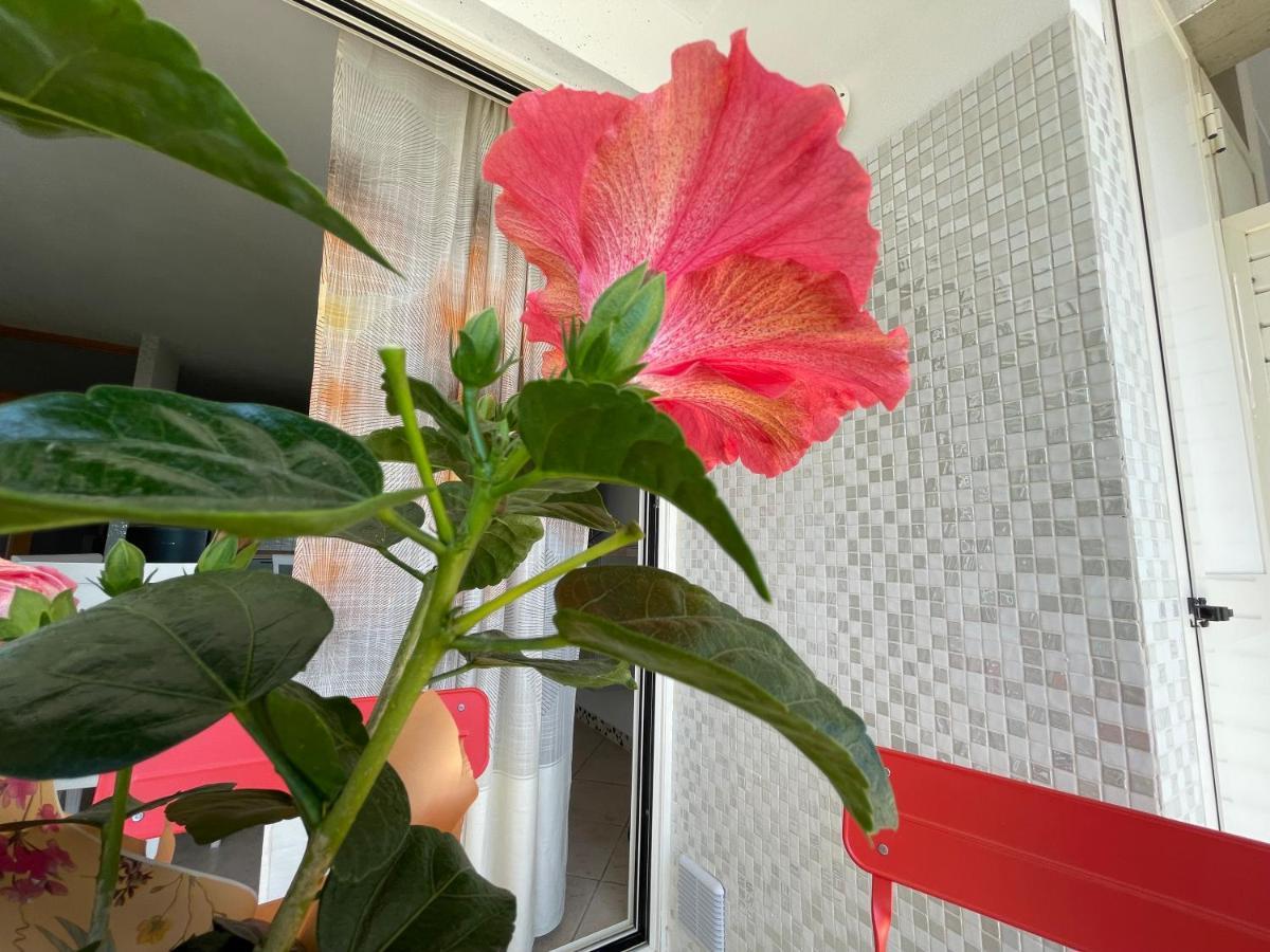 A Casa Di Silvia Appartement Gambassi Terme Buitenkant foto